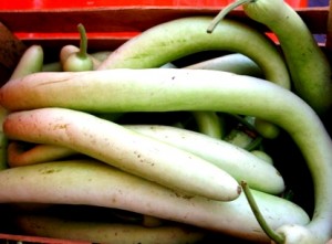 cucuzze zucchini from sicily