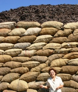 sacks of carob pods in Sicily