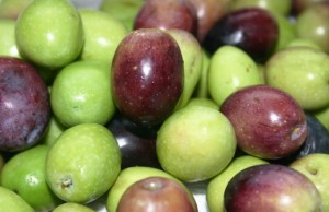 fresh green olives