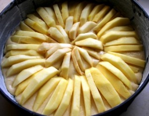 apple cake topped with sliced apples