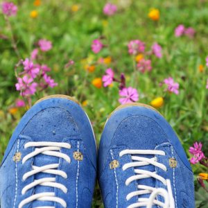 Blue suede hiking shoes in wildflowers
